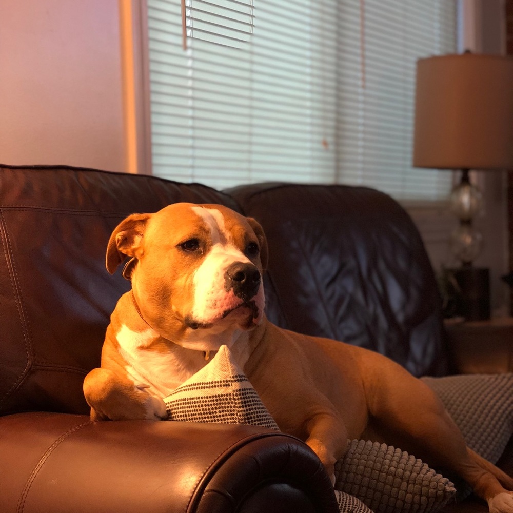 Meet your Posher, Joseph